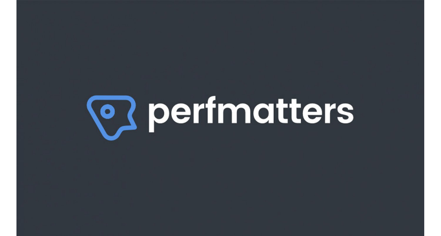 Perfmatters - Wordpress Eklentisi